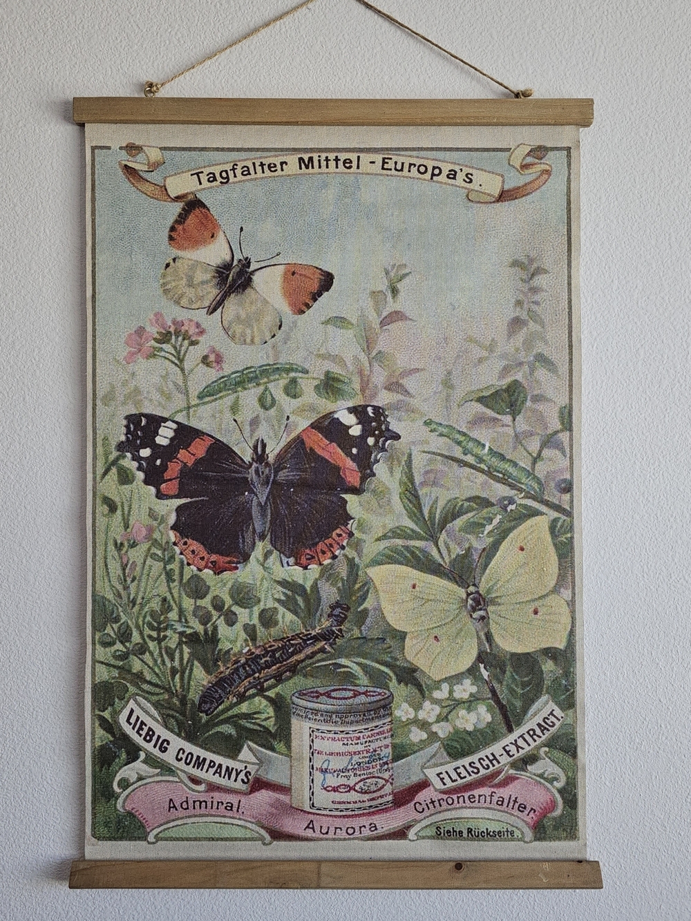 NWOT Vintage Butterfly Wall Art Print in Green and Cream